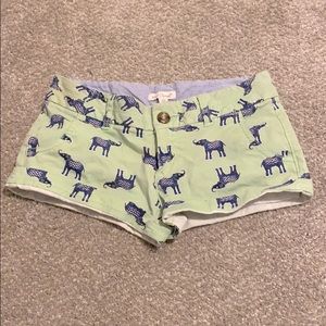 Elephant Shorts